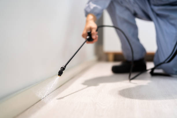 Licensed Pest Control service in Rhinelander, WI - Show Me Pest Control