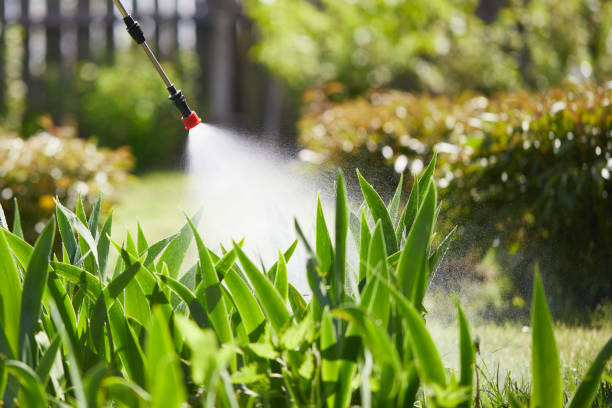 24/7 Emergency Wasp Removal experts in Rhinelander, WI